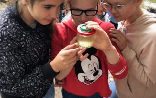 Duemmer Mikroskopieren 01 Mai 2018 180KB