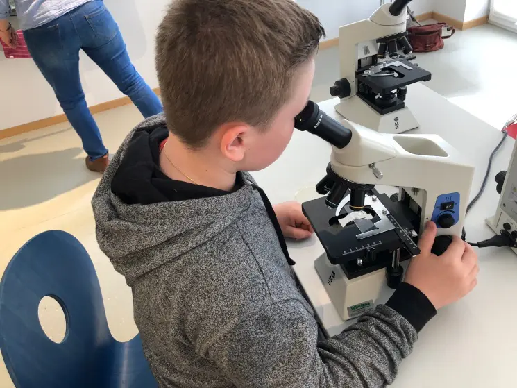 Duemmer Mikroskopieren 02 Mai 2018 180KB