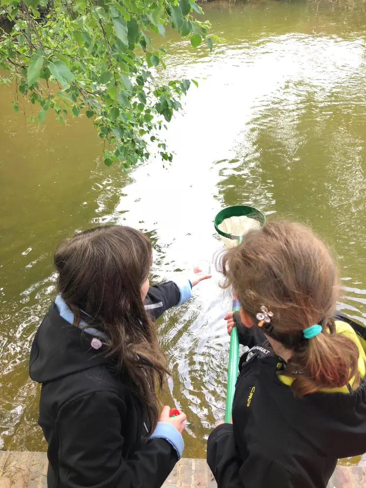 Duemmer Mikroskopieren 04 Mai 2018 180KB