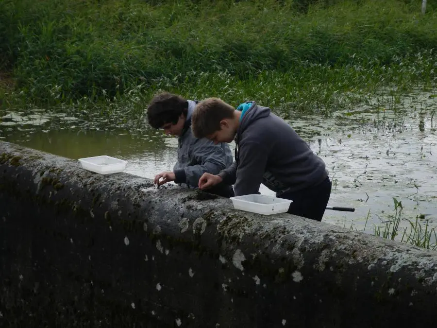 08 Hunte Exkursion 2012-100KB