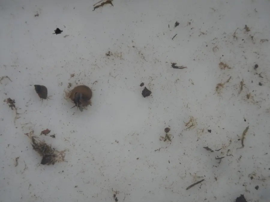 09 Hunte Exkursion 2012-100KB