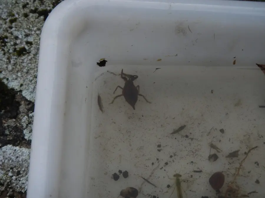 10 Hunte Exkursion 2012-100KB