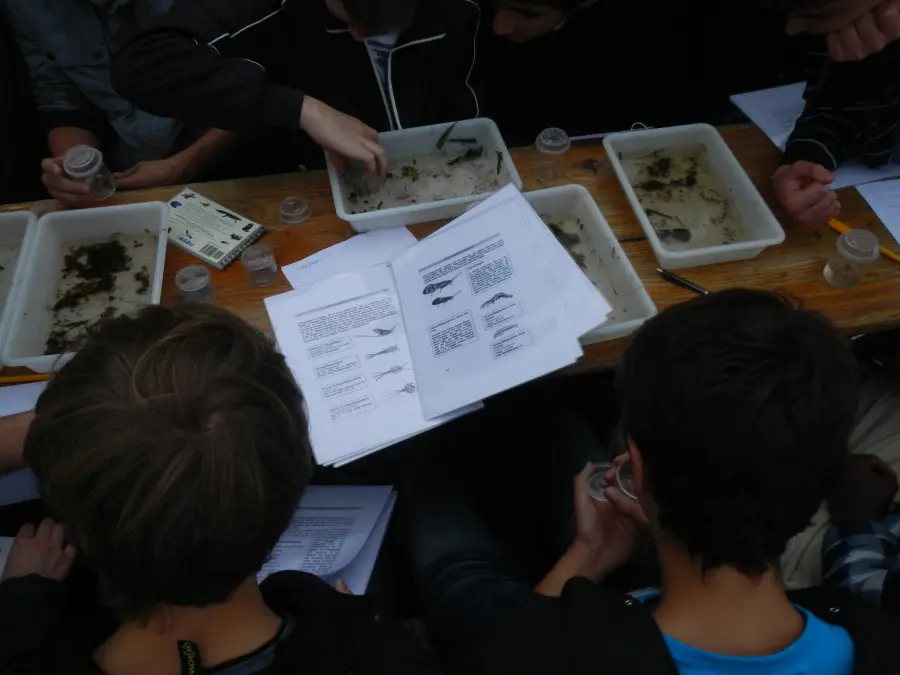 11 Hunte Exkursion 2012-100KB