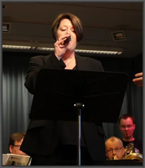 Jazzconcert 2013 Schneider 50KB