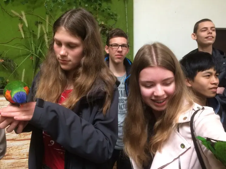 DH in Starogard 2018 03 Vogel 90KB