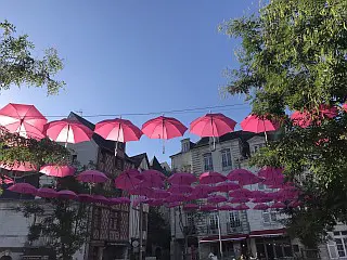 Thouars Schirme 320px 33KB